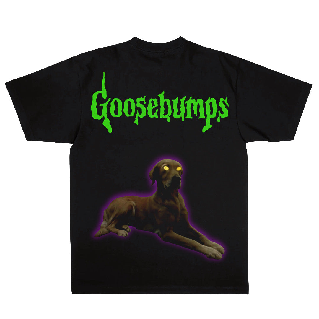 Slappy Goosebumps