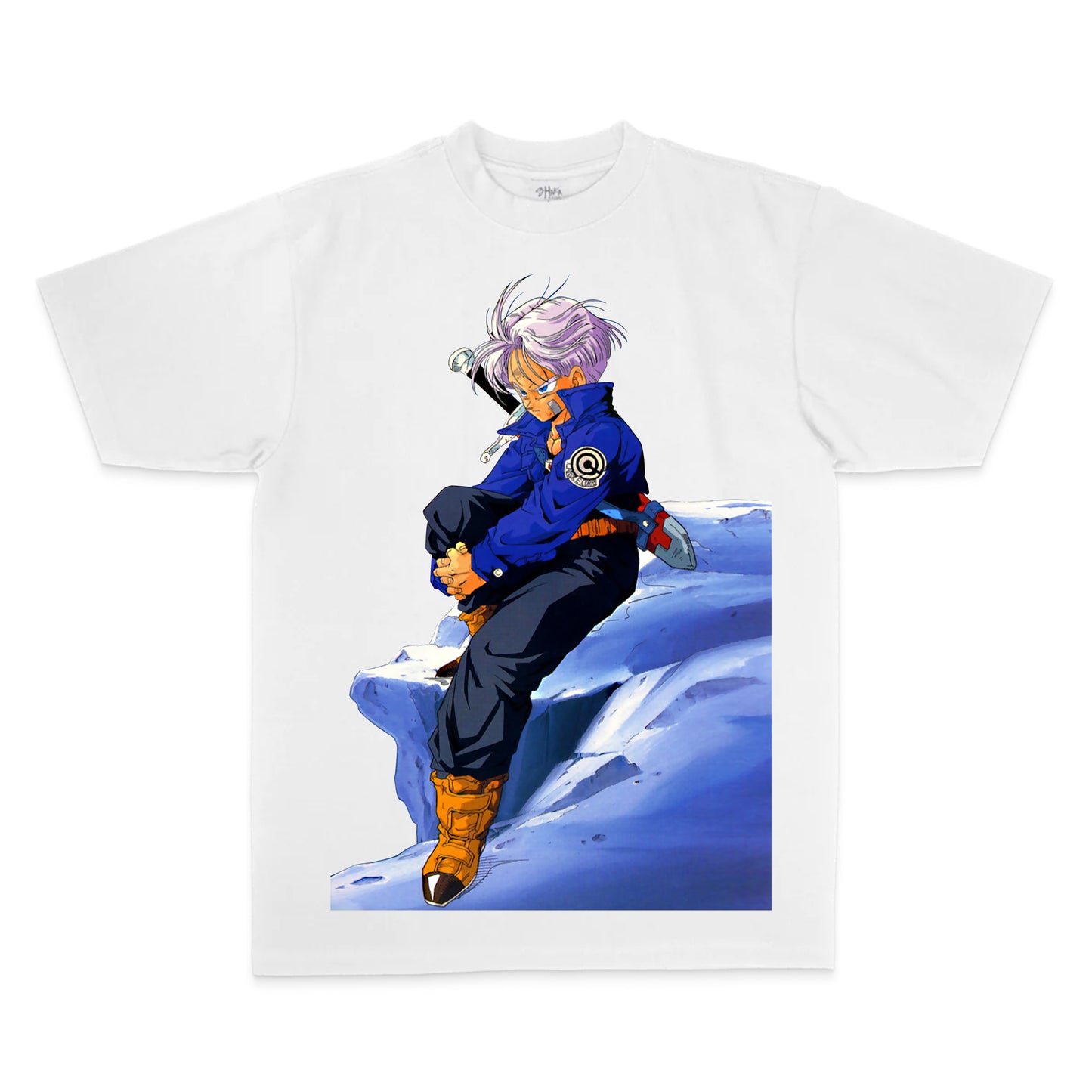 Trunks V1